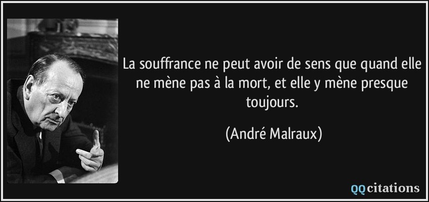 La souffrance ne peut avoir de sens que quand elle ne mène pas à la mort, et elle y mène presque toujours.  - André Malraux