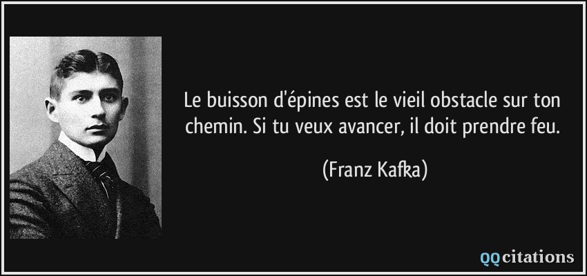Le buisson d'épines est le vieil obstacle sur ton chemin. Si tu veux avancer, il doit prendre feu.  - Franz Kafka