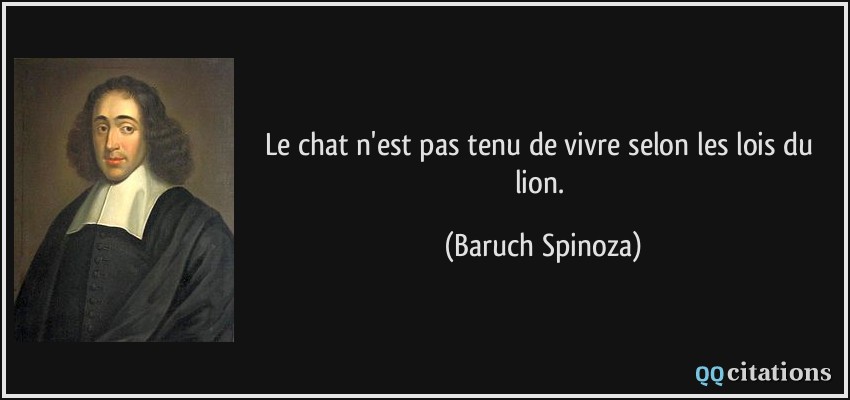 Le chat n'est pas tenu de vivre selon les lois du lion.  - Baruch Spinoza