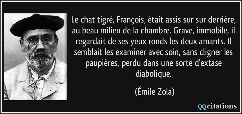 Le chat tigré, François, était assis sur sur derrière, au beau milieu de la chambre. Grave, immobile, il regardait de ses yeux ronds les deux amants. Il semblait les examiner avec soin, sans cligner les paupières, perdu dans une sorte d'extase diabolique.  - Émile Zola