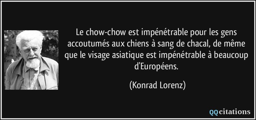 Le chow-chow est impénétrable pour les gens accoutumés aux chiens à sang de chacal, de même que le visage asiatique est impénétrable à beaucoup d'Européens.  - Konrad Lorenz