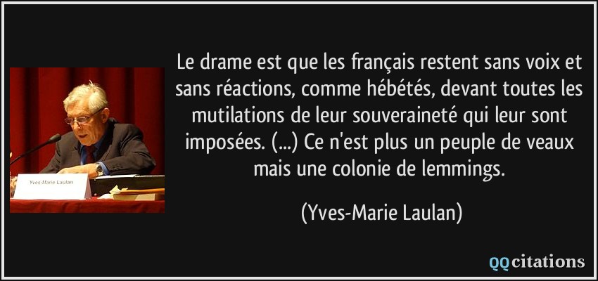 Le drame est que les français restent sans voix et sans réactions, comme hébétés, devant toutes les mutilations de leur souveraineté qui leur sont imposées. (...) Ce n'est plus un peuple de veaux mais une colonie de lemmings.  - Yves-Marie Laulan
