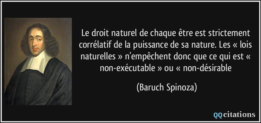 le droit naturel de chaque être est strictement corrélatif de la puissance de sa nature. Les « lois naturelles » n'empêchent donc que ce qui est « non-exécutable » ou « non-désirable  - Baruch Spinoza