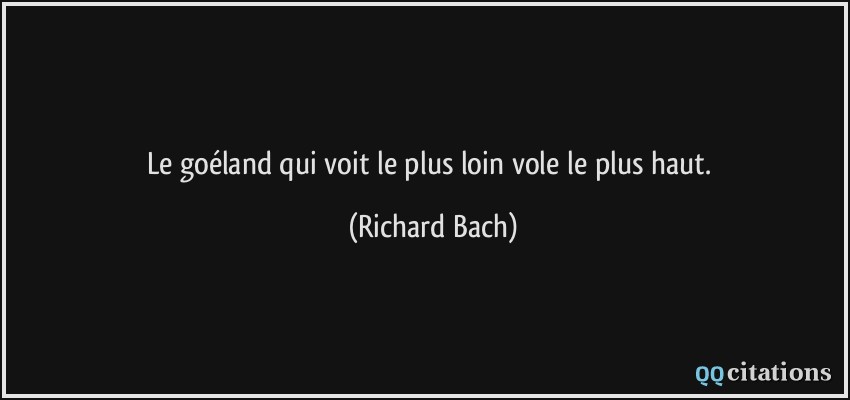 Le goéland qui voit le plus loin vole le plus haut.  - Richard Bach