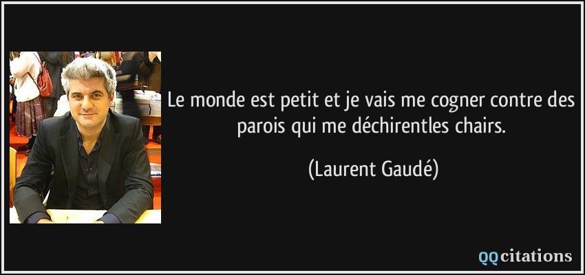 Le monde est petit et je vais me cogner contre des parois qui me déchirentles chairs.  - Laurent Gaudé