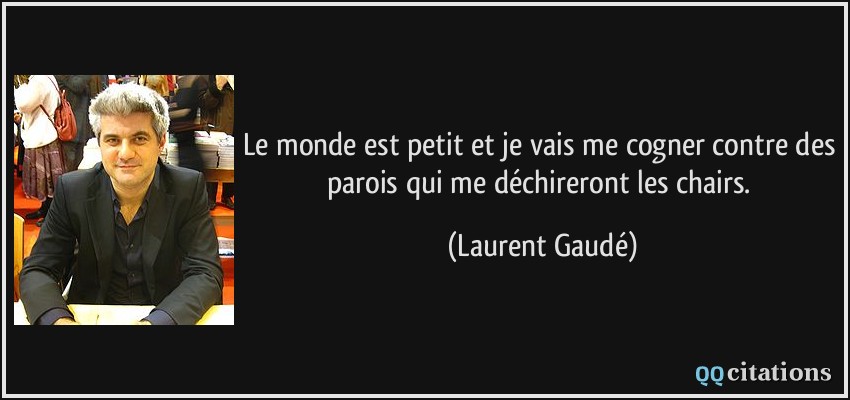 Le monde est petit et je vais me cogner contre des parois qui me déchireront les chairs.  - Laurent Gaudé