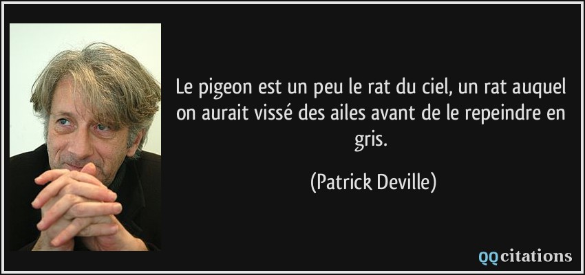 Le pigeon est un peu le rat du ciel, un rat auquel on aurait vissé des ailes avant de le repeindre en gris.  - Patrick Deville