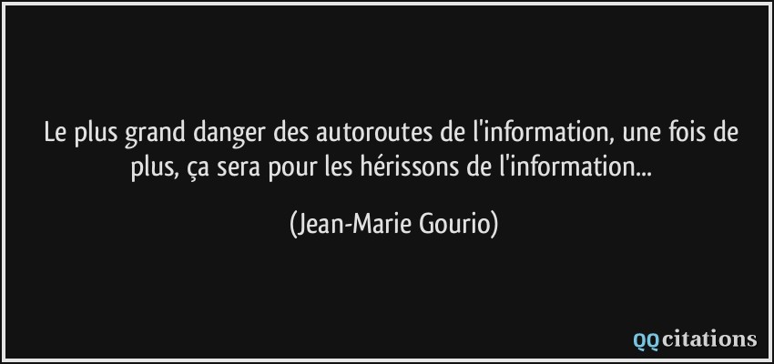 Le plus grand danger des autoroutes de l'information, une fois de plus, ça sera pour les hérissons de l'information...  - Jean-Marie Gourio