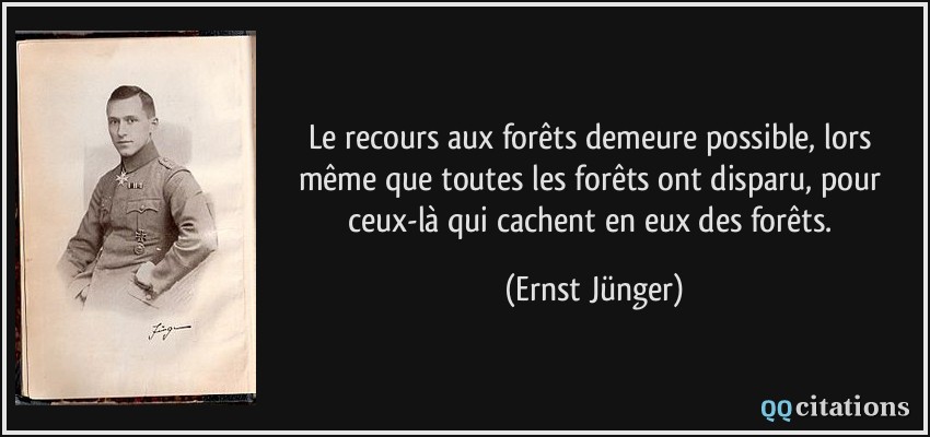 Le recours aux forêts demeure possible, lors même que toutes les forêts ont disparu, pour ceux-là qui cachent en eux des forêts.  - Ernst Jünger
