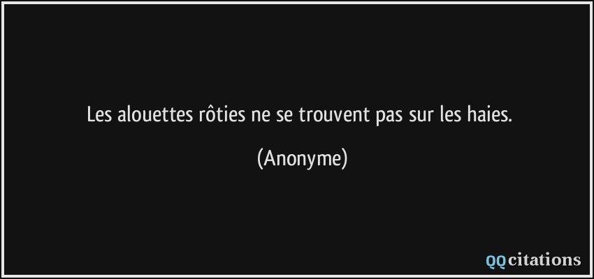 Les alouettes rôties ne se trouvent pas sur les haies.  - Anonyme