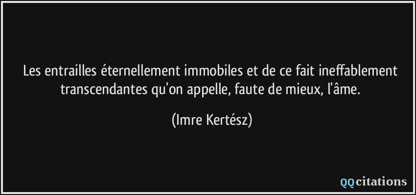 Les entrailles éternellement immobiles et de ce fait ineffablement transcendantes qu'on appelle, faute de mieux, l'âme.  - Imre Kertész