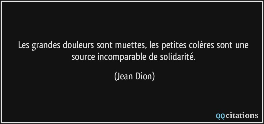 Les grandes douleurs sont muettes, les petites colères sont une source incomparable de solidarité.  - Jean Dion