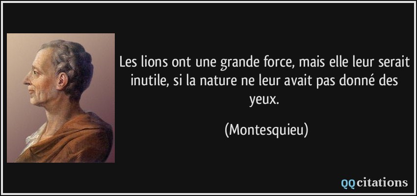 Les lions ont une grande force, mais elle leur serait inutile, si la nature ne leur avait pas donné des yeux.  - Montesquieu