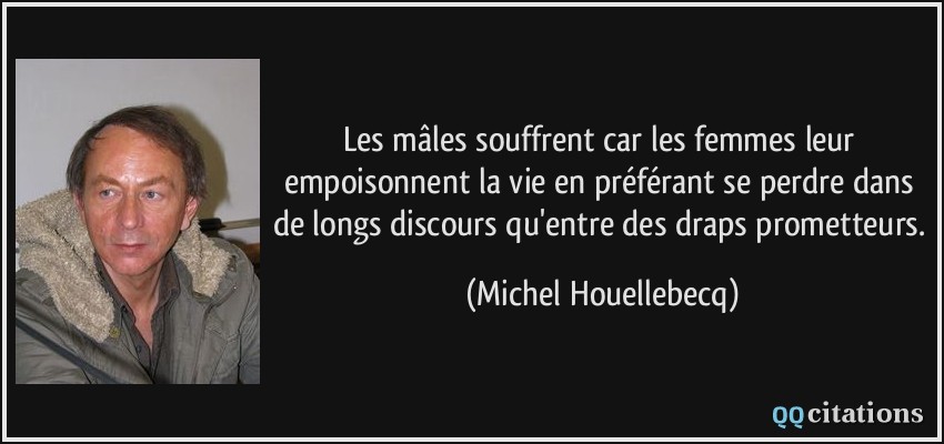 Les mâles souffrent car les femmes leur empoisonnent la vie en préférant se perdre dans de longs discours qu'entre des draps prometteurs.  - Michel Houellebecq