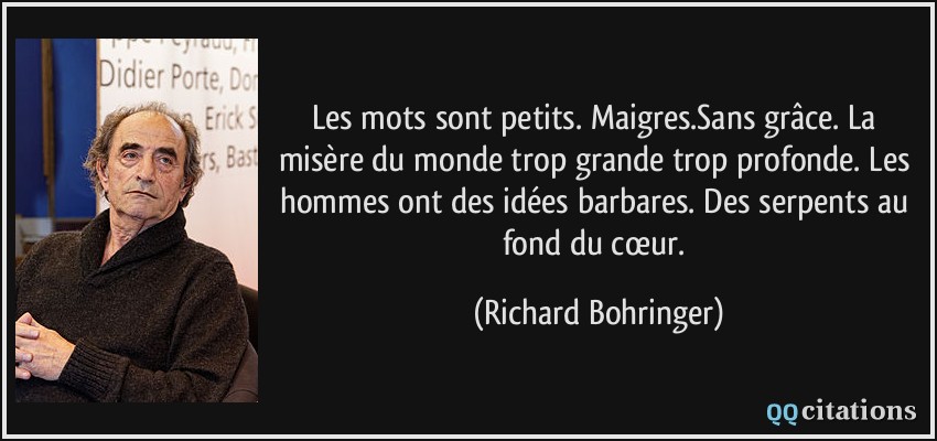 Les mots sont petits. Maigres.Sans grâce. La misère du monde trop grande trop profonde. Les hommes ont des idées barbares. Des serpents au fond du cœur.  - Richard Bohringer