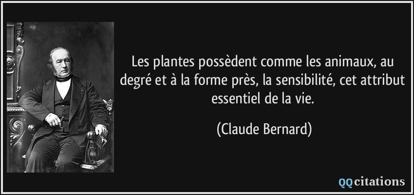 Les plantes possèdent comme les animaux, au degré et à la forme près, la sensibilité, cet attribut essentiel de la vie.  - Claude Bernard