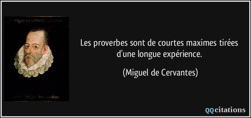 Les proverbes sont de courtes maximes tirées d'une longue expérience.  - Miguel de Cervantes