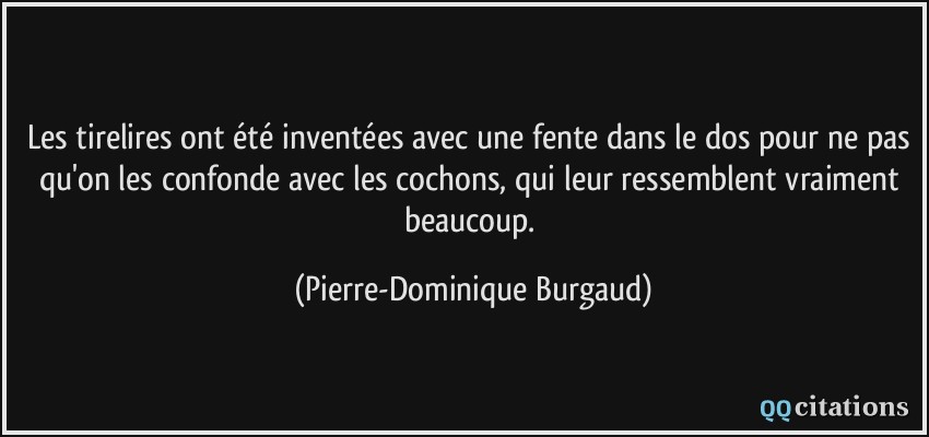 Les tirelires ont été inventées avec une fente dans le dos pour ne pas qu'on les confonde avec les cochons, qui leur ressemblent vraiment beaucoup.  - Pierre-Dominique Burgaud