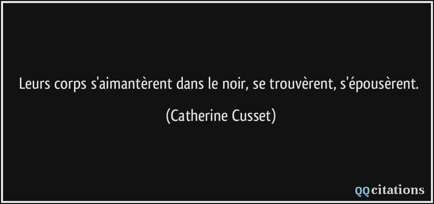 Leurs corps s'aimantèrent dans le noir, se trouvèrent, s'épousèrent.  - Catherine Cusset