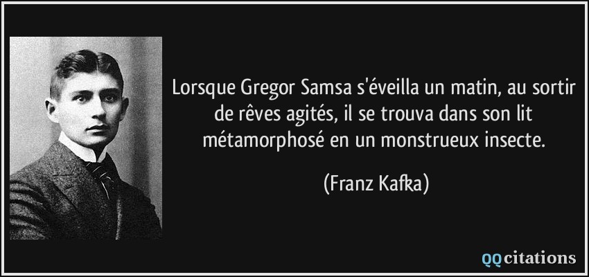 Lorsque Gregor Samsa s'éveilla un matin, au sortir de rêves agités, il se trouva dans son lit métamorphosé en un monstrueux insecte.  - Franz Kafka