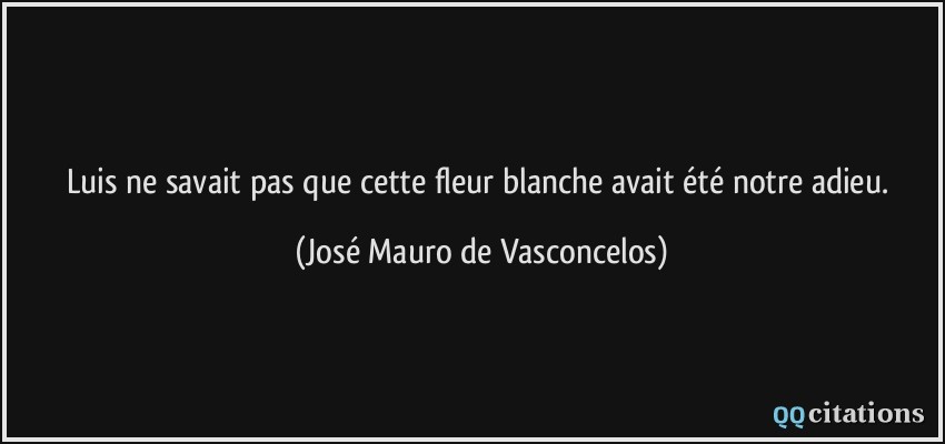 Luis ne savait pas que cette fleur blanche avait été notre adieu.  - José Mauro de Vasconcelos