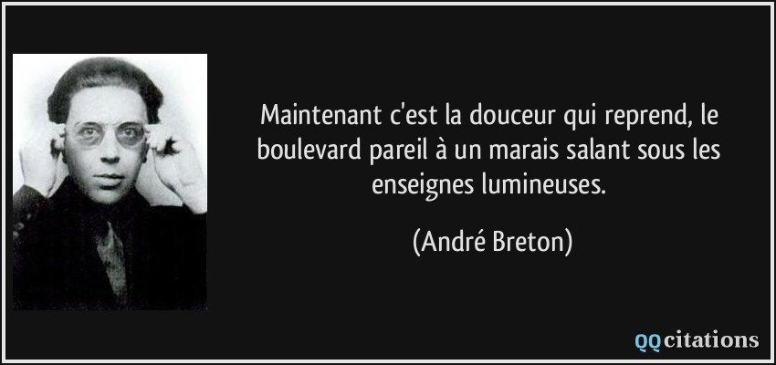 Maintenant c'est la douceur qui reprend, le boulevard pareil à un marais salant sous les enseignes lumineuses.  - André Breton