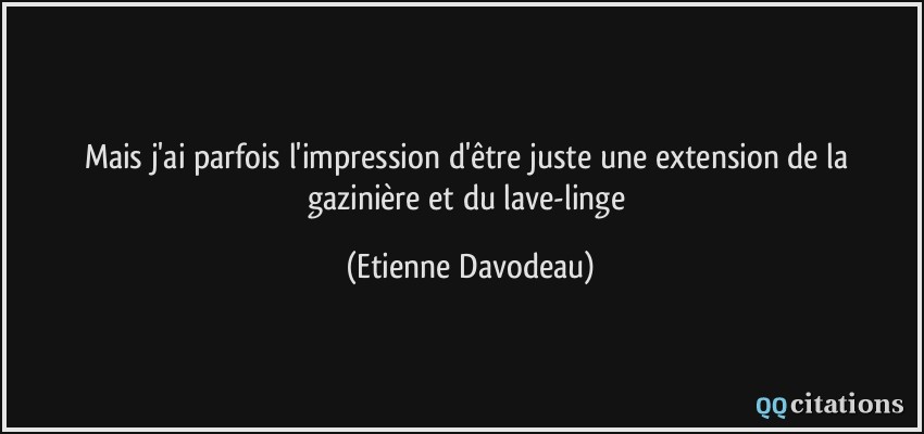 Mais j'ai parfois l'impression d'être juste une extension de la gazinière et du lave-linge  - Etienne Davodeau