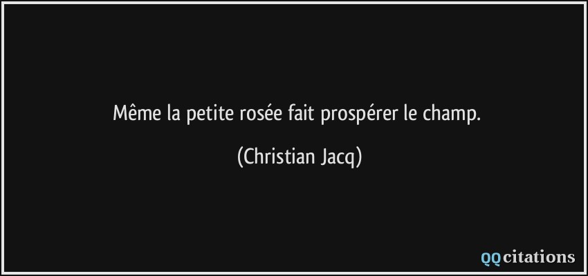 Même la petite rosée fait prospérer le champ.  - Christian Jacq