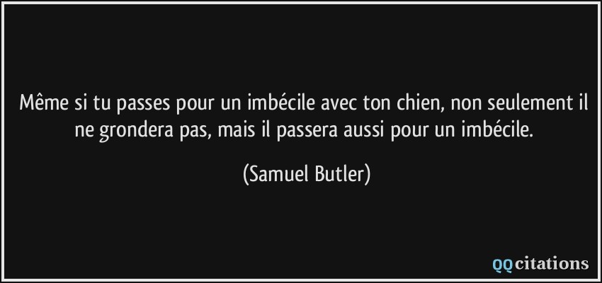 Même si tu passes pour un imbécile avec ton chien, non seulement il ne grondera pas, mais il passera aussi pour un imbécile.  - Samuel Butler