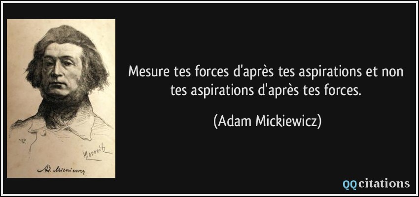 Mesure tes forces d'après tes aspirations et non tes aspirations d'après tes forces.  - Adam Mickiewicz