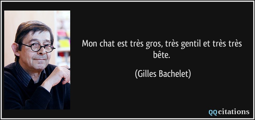 Mon chat est très gros, très gentil et très très bête.  - Gilles Bachelet