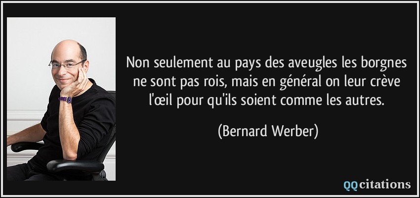 Non seulement au pays des aveugles les borgnes ne sont pas rois, mais en général on leur crève l'œil pour qu'ils soient comme les autres.  - Bernard Werber