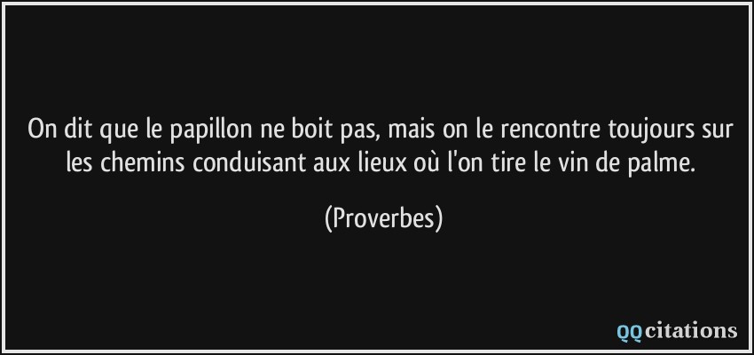 On dit que le papillon ne boit pas, mais on le rencontre toujours sur les chemins conduisant aux lieux où l'on tire le vin de palme.  - Proverbes