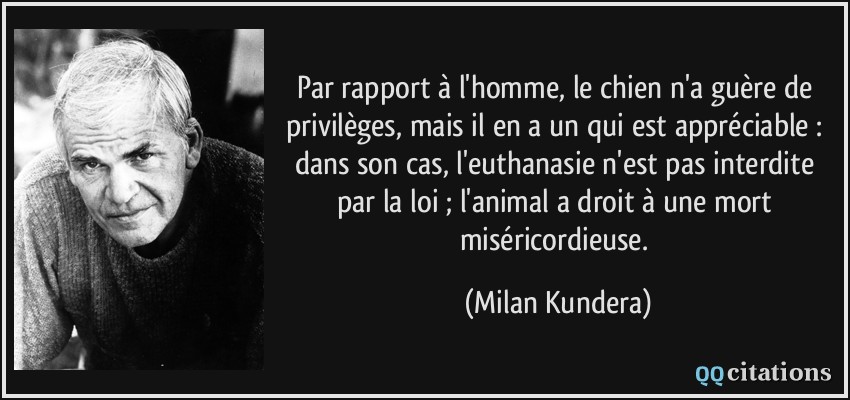 Par rapport à l'homme, le chien n'a guère de privilèges, mais il en a un qui est appréciable : dans son cas, l'euthanasie n'est pas interdite par la loi ; l'animal a droit à une mort miséricordieuse.  - Milan Kundera