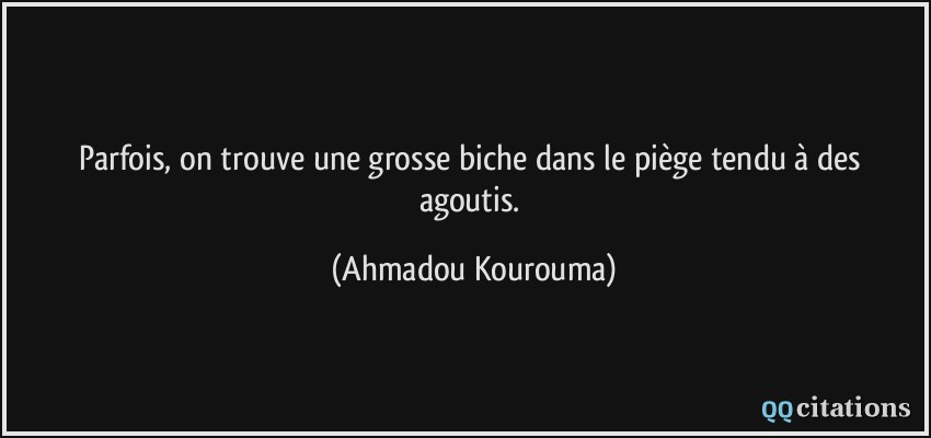 Parfois, on trouve une grosse biche dans le piège tendu à des agoutis.  - Ahmadou Kourouma