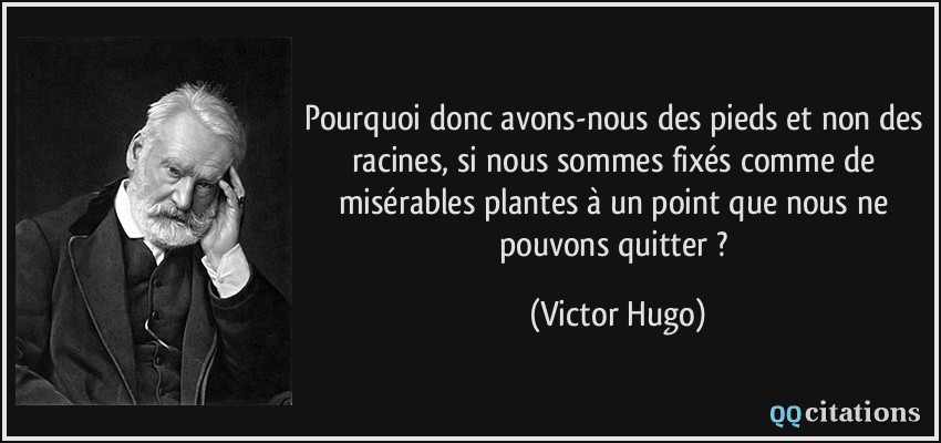 Pourquoi donc avons-nous des pieds et non des racines, si nous sommes fixés comme de misérables plantes à un point que nous ne pouvons quitter ?  - Victor Hugo