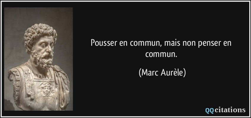 Pousser en commun, mais non penser en commun.  - Marc Aurèle