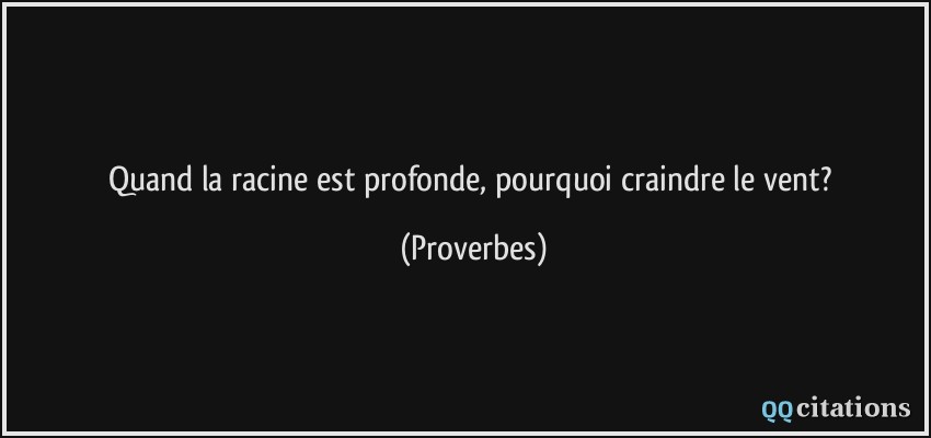 Quand La Racine Est Profonde Pourquoi Craindre Le Vent