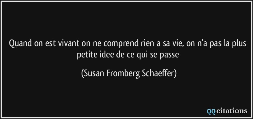 Quand on est vivant on ne comprend rien a sa vie, on n'a pas la plus petite idee de ce qui se passe  - Susan Fromberg Schaeffer