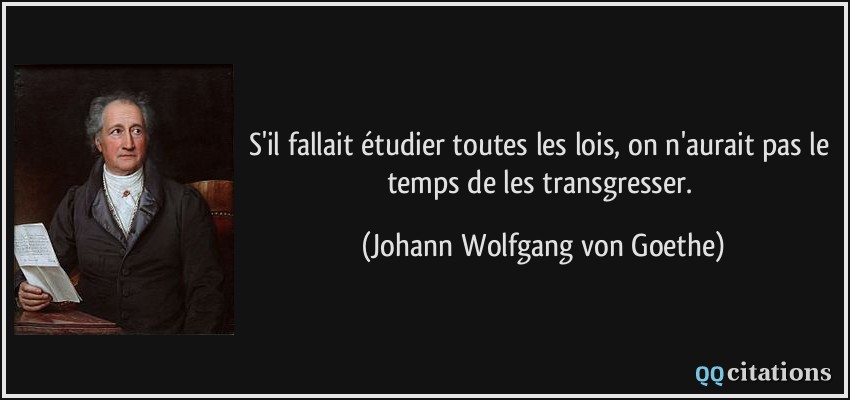 S'il fallait étudier toutes les lois, on n'aurait pas le temps de les transgresser.  - Johann Wolfgang von Goethe