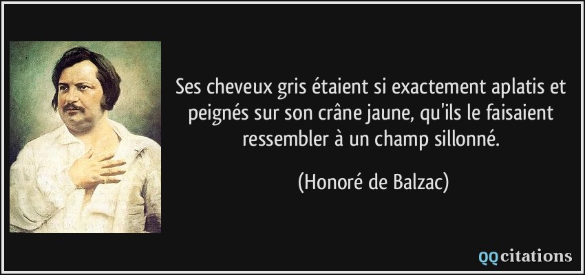 Ses cheveux gris étaient si exactement aplatis et peignés sur son crâne jaune, qu'ils le faisaient ressembler à un champ sillonné. - Honoré de Balzac Ses cheveux gris étaient si exactement aplatis et peignés sur son crâne jaune, qu'ils le faisaient ressembler à un champ sillonné. - Honoré de Balzac