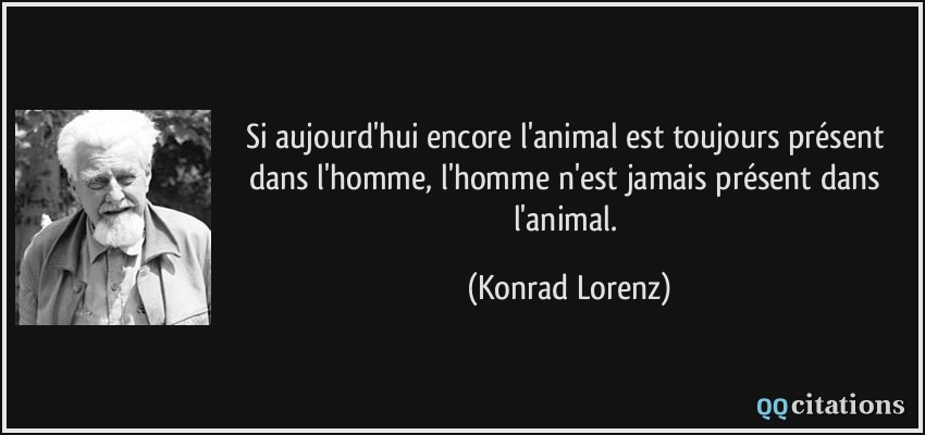 Si aujourd'hui encore l'animal est toujours présent dans l'homme, l'homme n'est jamais présent dans l'animal.  - Konrad Lorenz