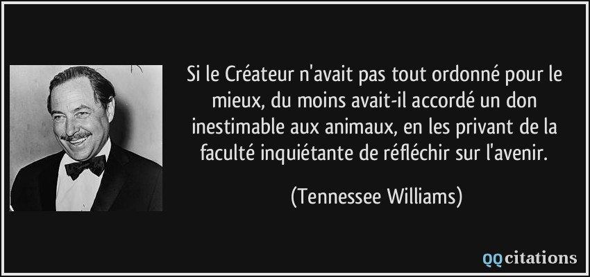 Si le Créateur n'avait pas tout ordonné pour le mieux, du moins avait-il accordé un don inestimable aux animaux, en les privant de la faculté inquiétante de réfléchir sur l'avenir.  - Tennessee Williams