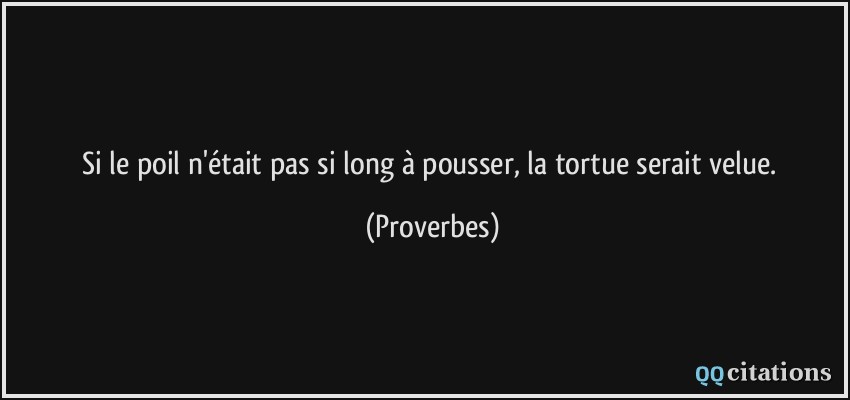 Si le poil n'était pas si long à pousser, la tortue serait velue.  - Proverbes