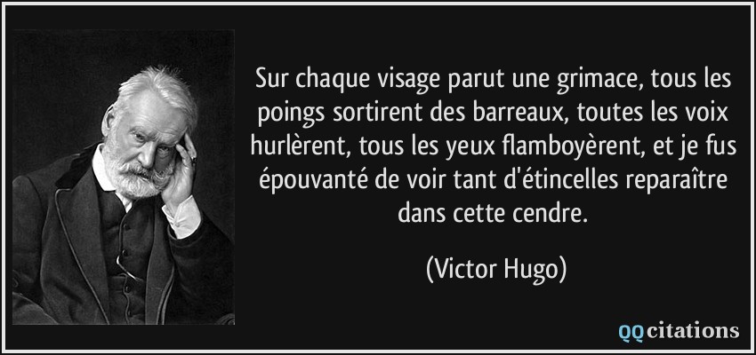 Sur Chaque Visage Parut Une Grimace Tous Les Poings Sortirent Des Barreaux Toutes Les Voix Hurlerent Tous Les Yeux