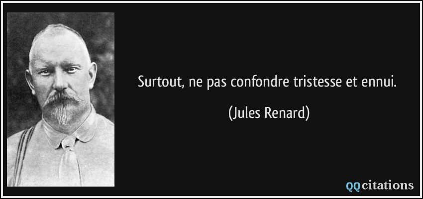 Surtout, ne pas confondre tristesse et ennui.  - Jules Renard