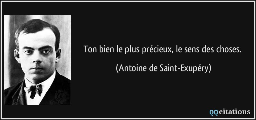 Ton bien le plus précieux, le sens des choses.  - Antoine de Saint-Exupéry