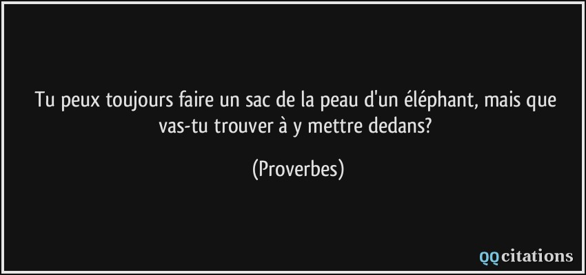 Tu peux toujours faire un sac de la peau d'un éléphant, mais que vas-tu trouver à y mettre dedans?  - Proverbes