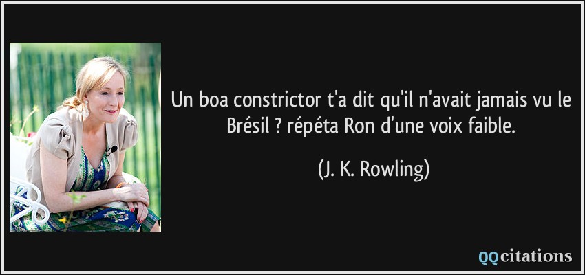 Un boa constrictor t'a dit qu'il n'avait jamais vu le Brésil ? répéta Ron d'une voix faible.  - J. K. Rowling