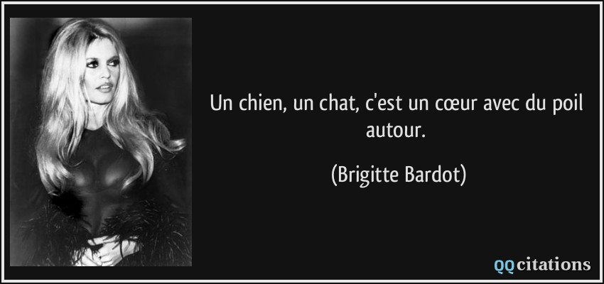 Un chien, un chat, c'est un cœur avec du poil autour.  - Brigitte Bardot
